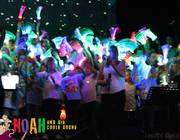 IMG 3853 (2)