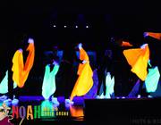 IMG 4047